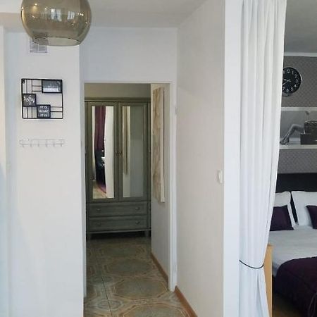 Apartament Zamosc Fiolet Dış mekan fotoğraf
