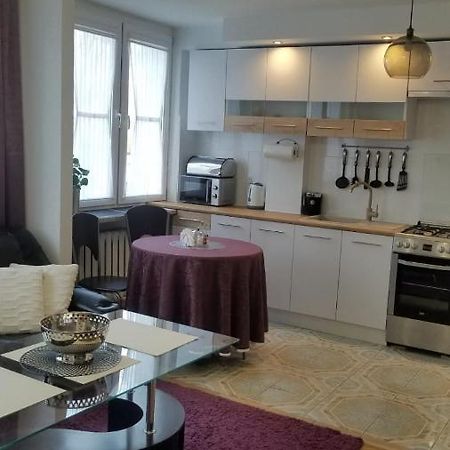 Apartament Zamosc Fiolet Dış mekan fotoğraf
