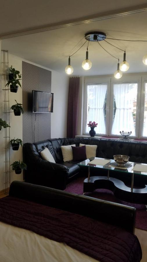 Apartament Zamosc Fiolet Dış mekan fotoğraf